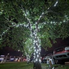 Tree Lighting